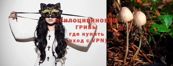 дурь Лихославль