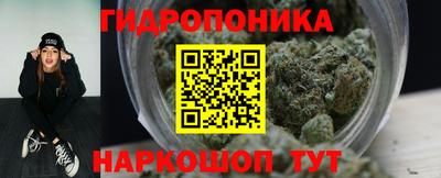 МДПВ Бийск