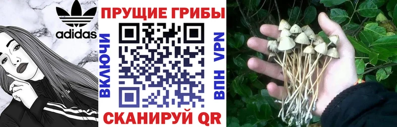 Псилоцибиновые грибы MAGIC MUSHROOMS Тулун