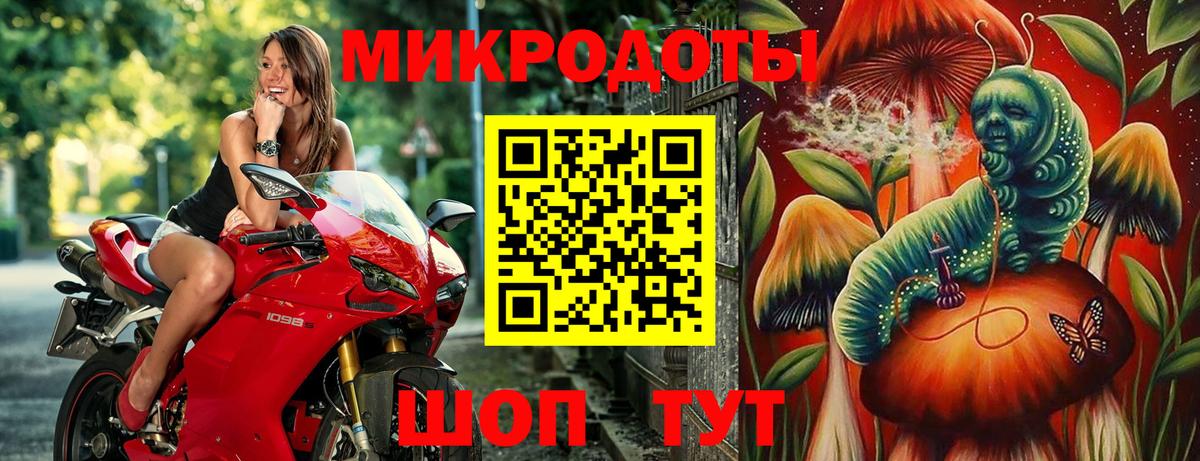 Галлюциногенные грибы Cubensis Тулун