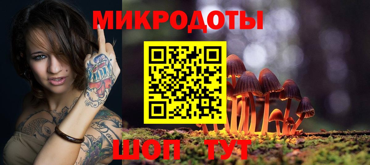 Тулун  Галлюциногенные грибы прущие грибы  Вход с VPN 