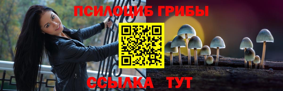 Псилоцибиновые грибы прущие грибы  Тулун  цена наркотик  Псилоцибиновые грибы MAGIC MUSHROOMS 